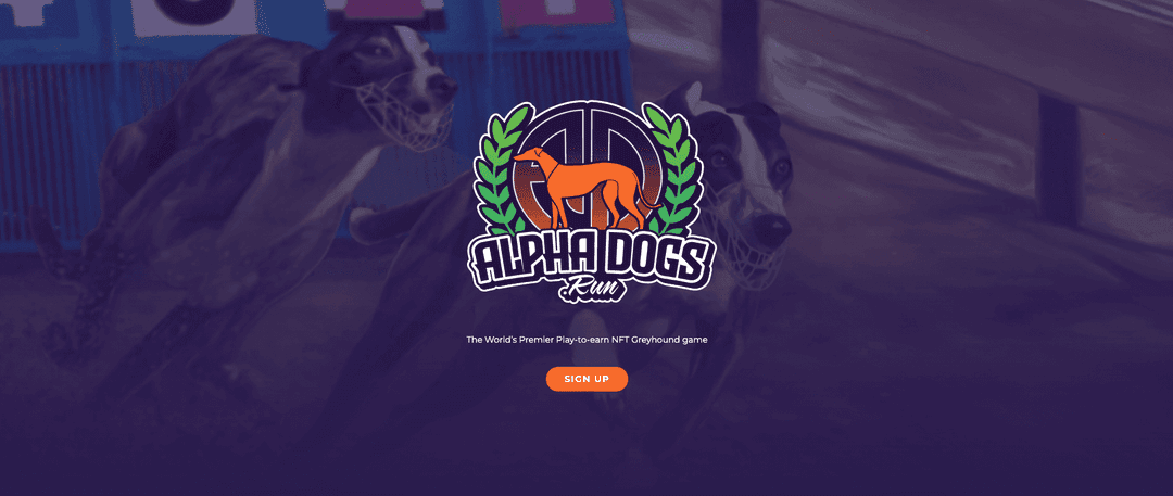 Alphadogs Group Dog Run Event